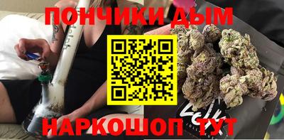дмт Дубна