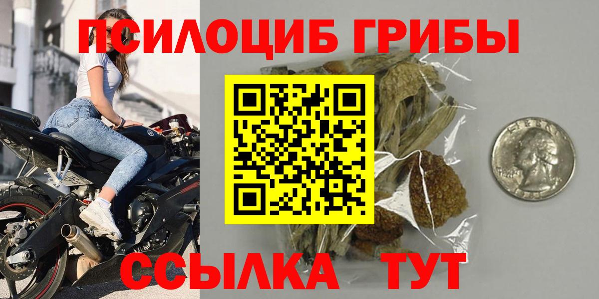 Псилоцибиновые грибы Psilocybe  Вход с VPN  Курчатов 